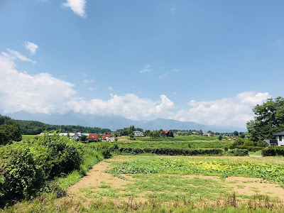 ホップ収穫体験してみた ~再訪・うちゅうブルーイング 高根クラインガルテン