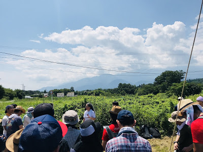 ホップ収穫体験してみた ~再訪・うちゅうブルーイング編