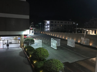 神奈川・横須賀 シャーキーズ(米軍基地)